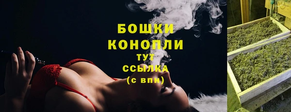 крисы Липки
