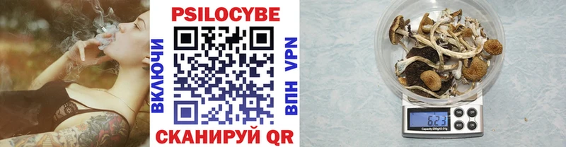 Купить закладки  Волгореченск  Псилоцибиновые грибы ЛСД 